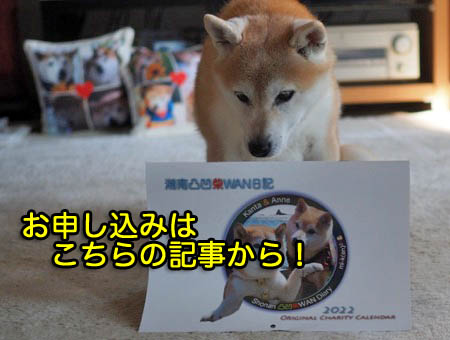 5日夜ブログ５