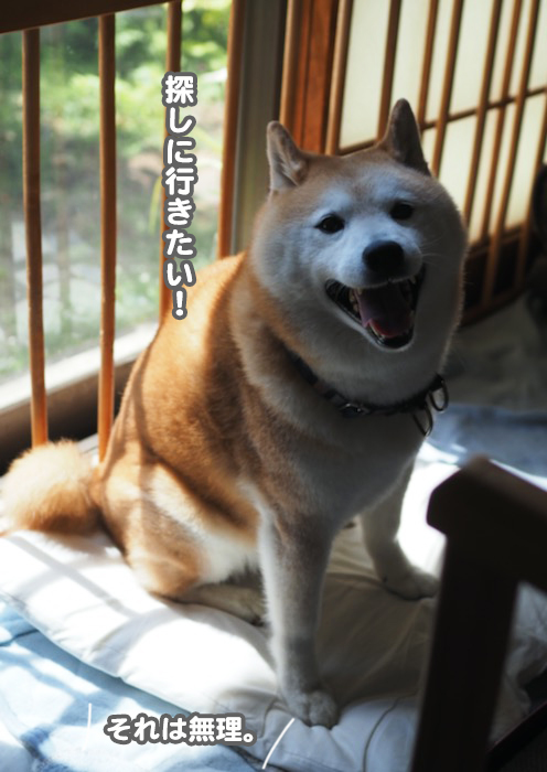 9日ブログ４