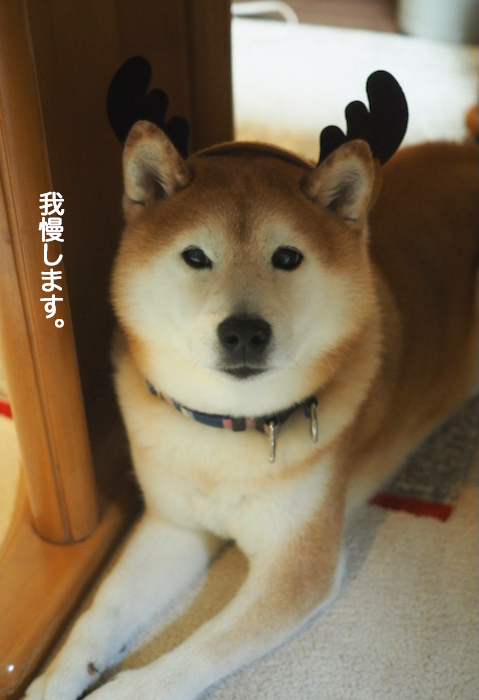 30日ブログ２