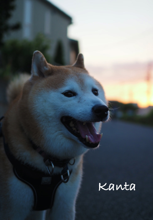 30日夜ブログ２