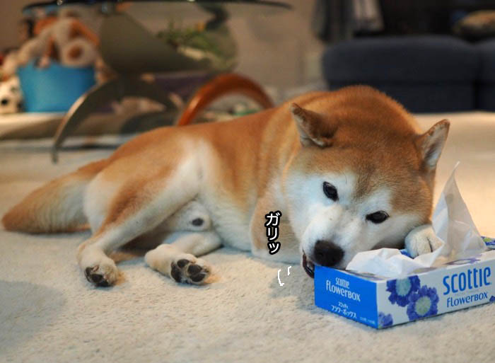 1日夜ブログ２