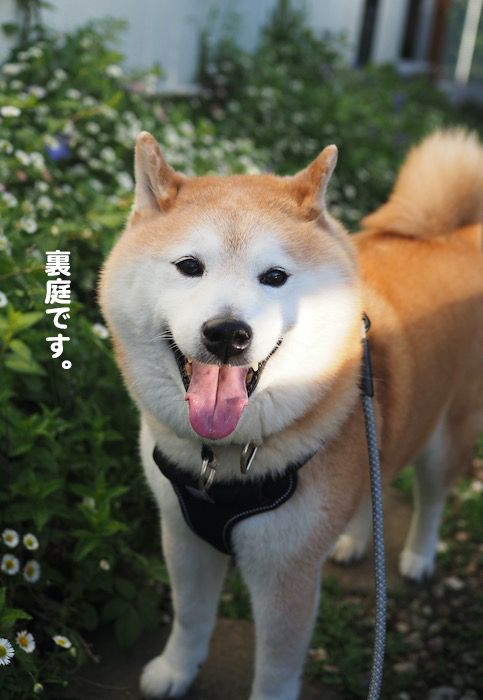 17日夜ブログ２