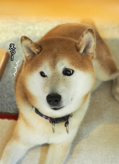 12日夜ブログ４