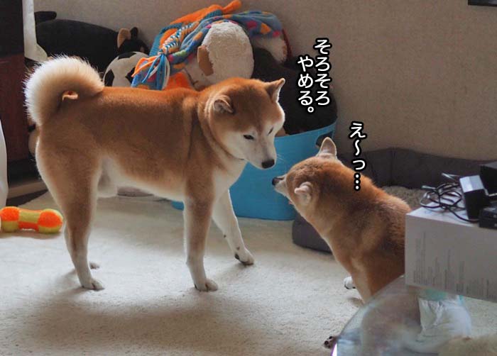 28日夜ブログ２０