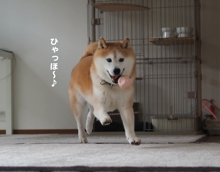 8日ブログ３
