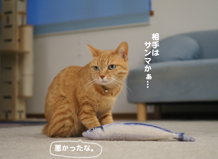 11日夕ブログ２