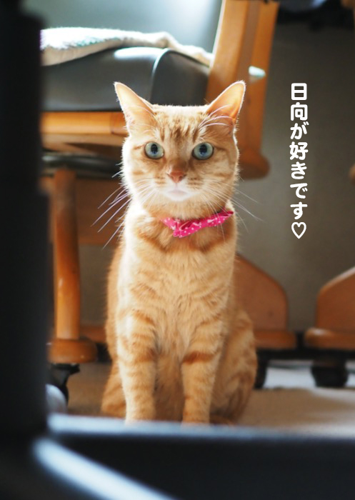 3日ブログ２