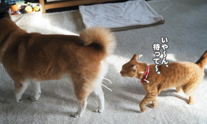 24日夕ブログ７