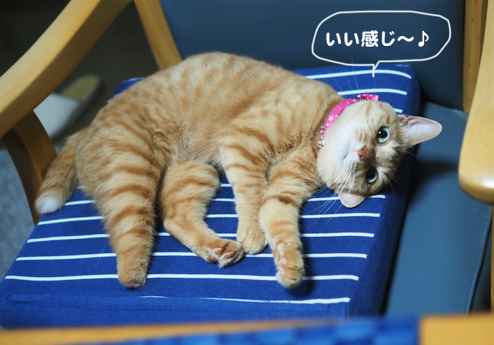 8日ブログ３