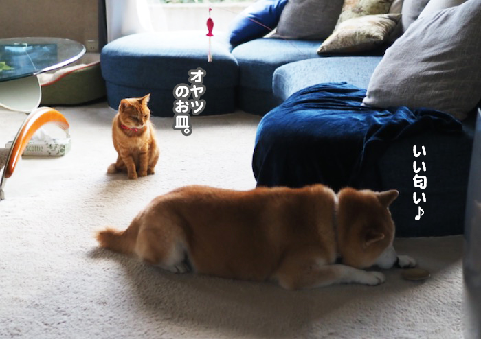 10日夕ブログ４