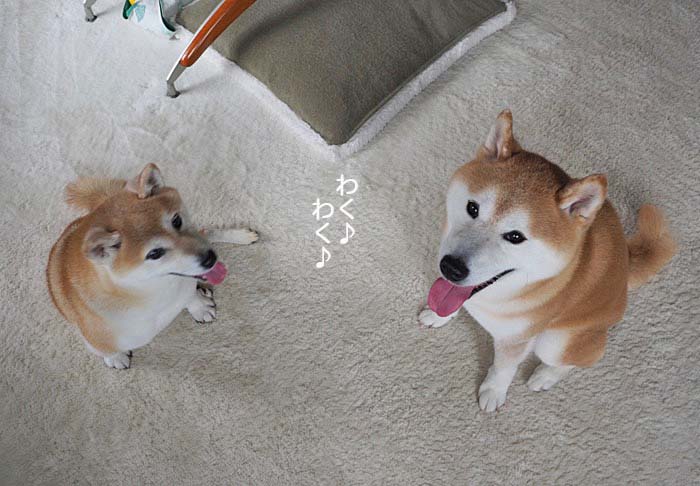 20日夜ブログ３