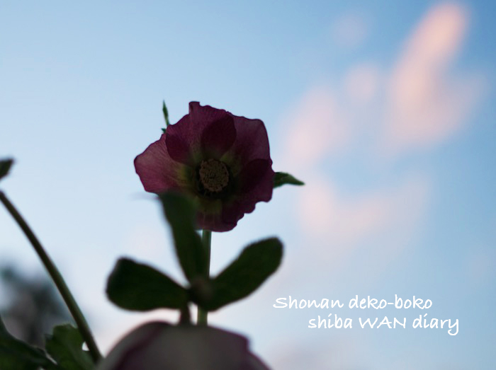 21日夕ブログ１