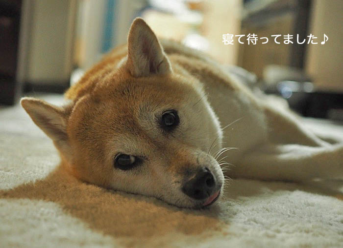 4日ブログ8