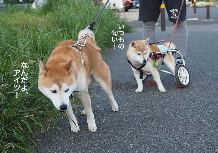 16日ブログ３