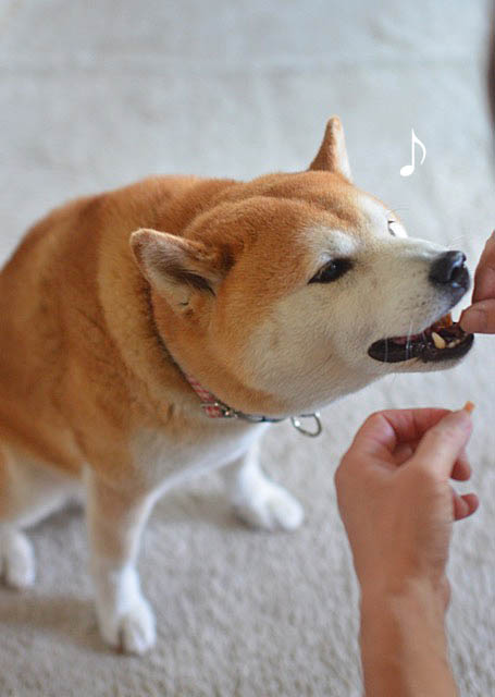 1日ブログ3