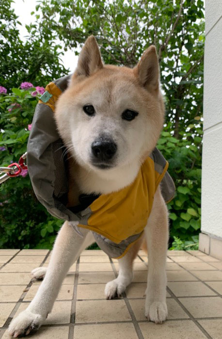 7日夕ブログ９