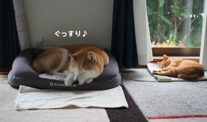 31日ブログ４