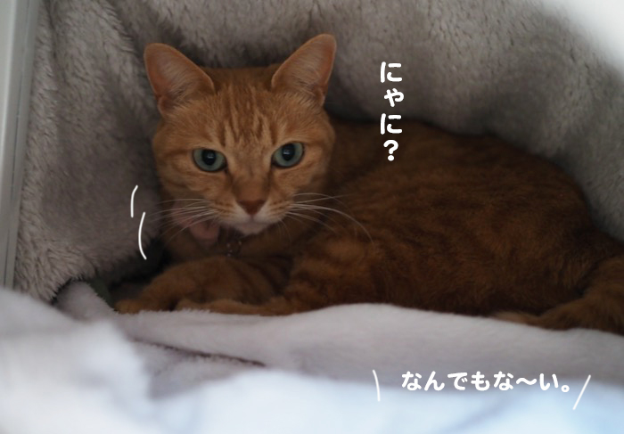 16日夕ブログ６