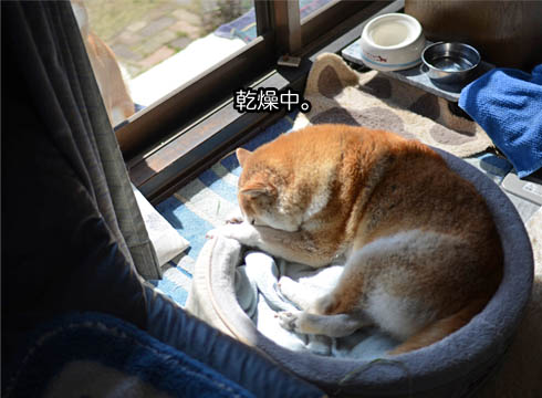 18日ブログ10.jpg