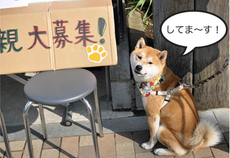 4日ブログ28.jpg