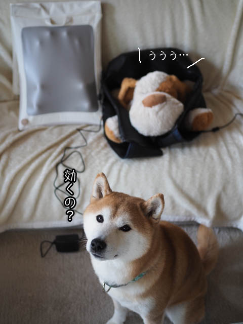 17ブログ5