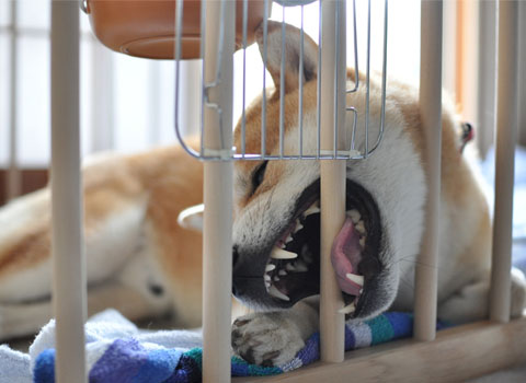 30日ブログ8.jpg