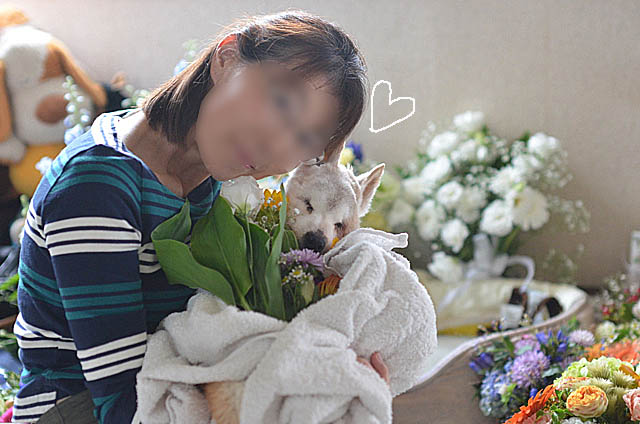 18日ブログ１０