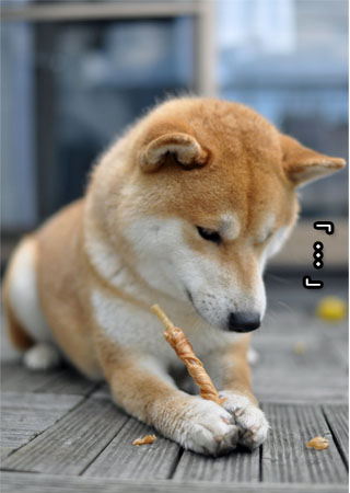 26日ブログ14.jpg