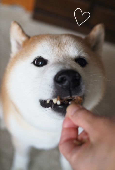 10日ブログ５