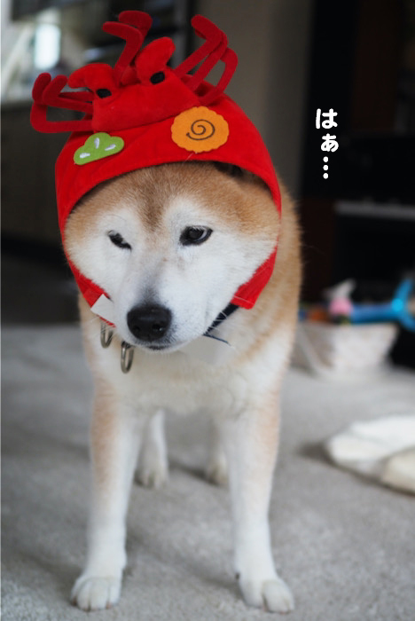 2日夜ブログ８