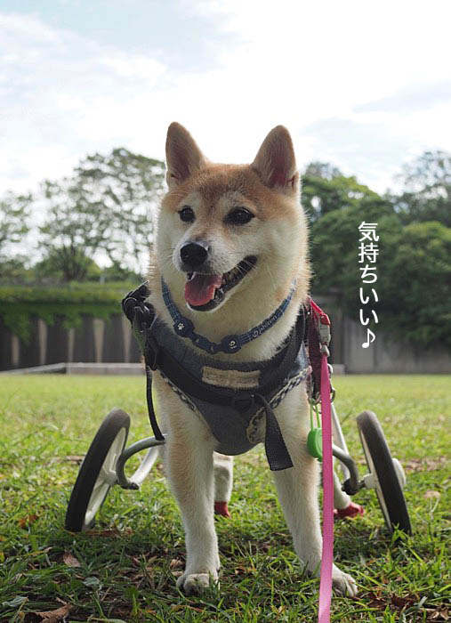 22日朝ブログ１