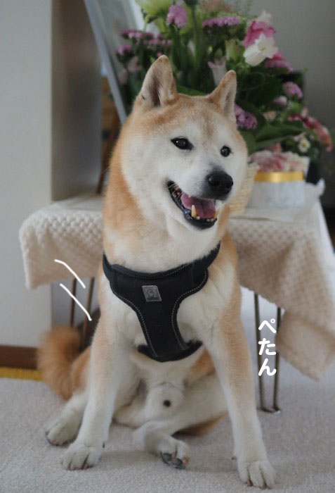 16日ブログ１