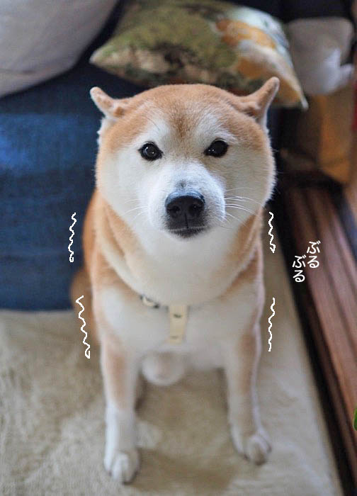 13日午後ブログ５