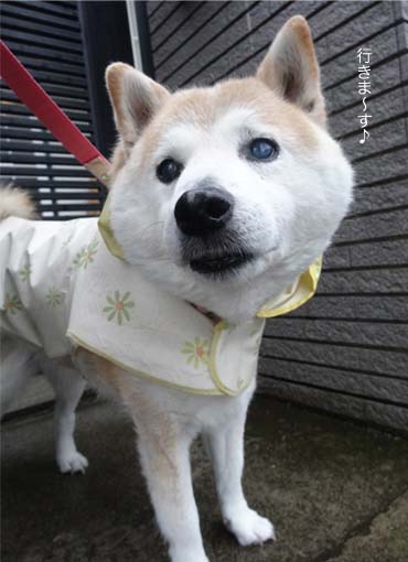 4日ブログ７.jpg