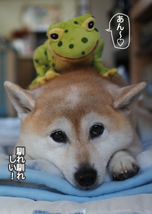 18日夜ブログ７
