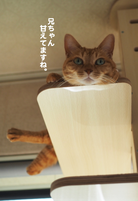 17日夕ブログ３