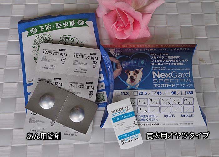 11日ブログ２