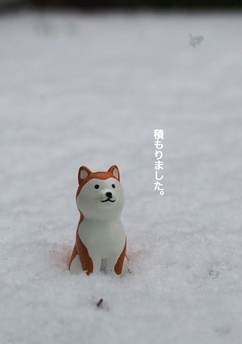 6日夜ブログ２