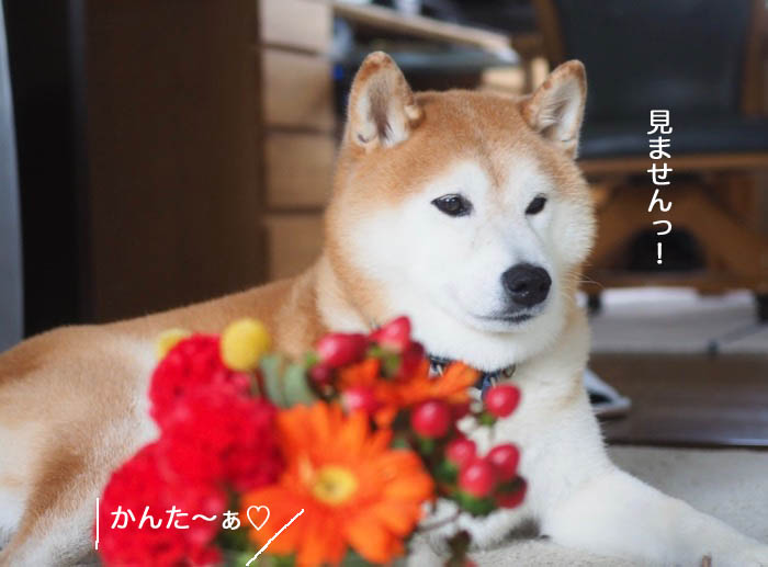15日夜ブログ２