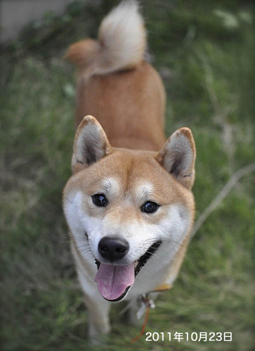 11日ブログ２