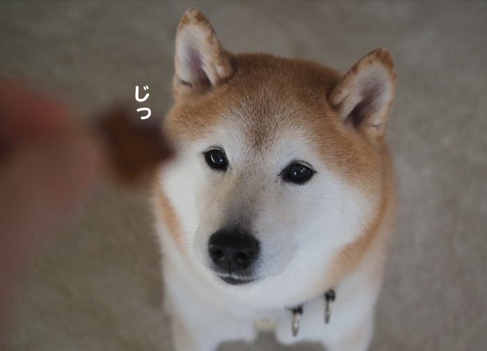8日ブログ6