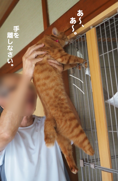 13日夕ブログ６