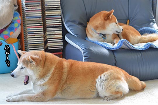 29日ブログ5.jpg