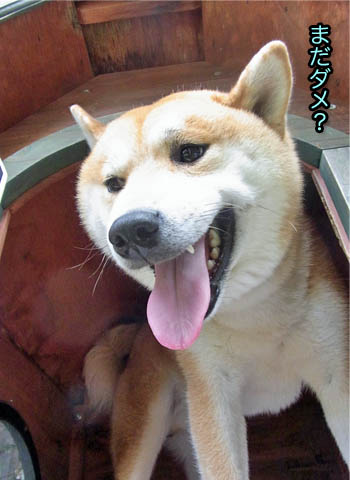 24日ブログ8.jpg