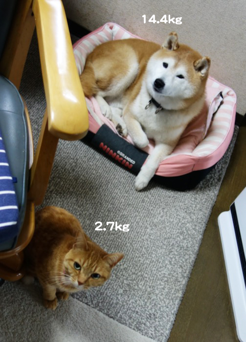 7日ブログ４