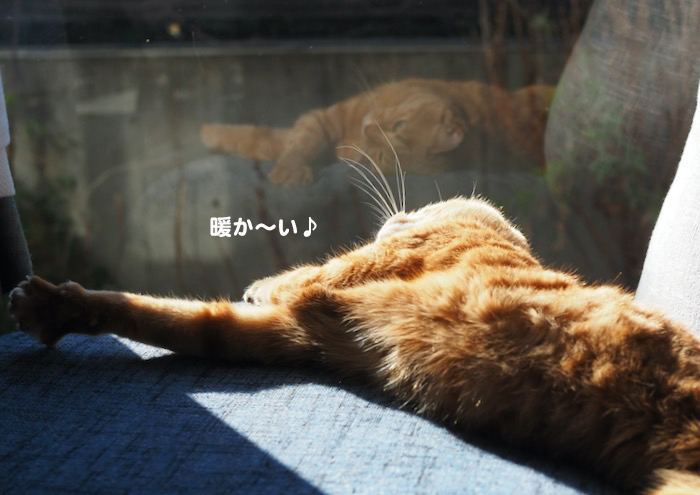 26日ブログ4