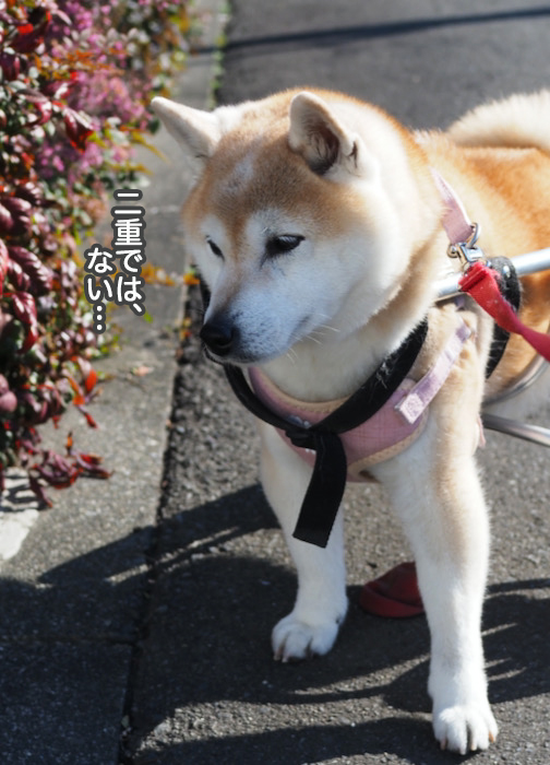 24日ブログ４