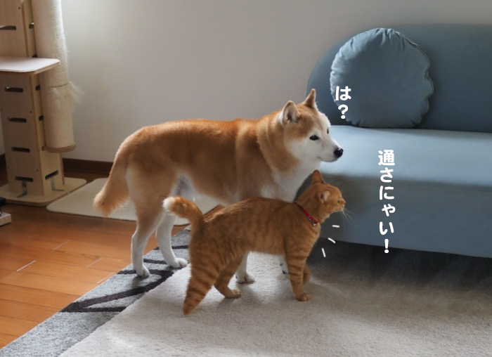 3日夕ブログ４