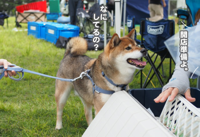 12日夕ブログ３