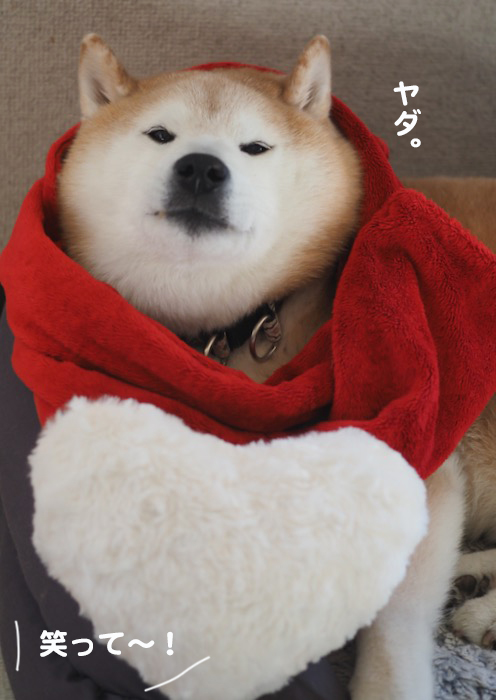 14日ブログ２